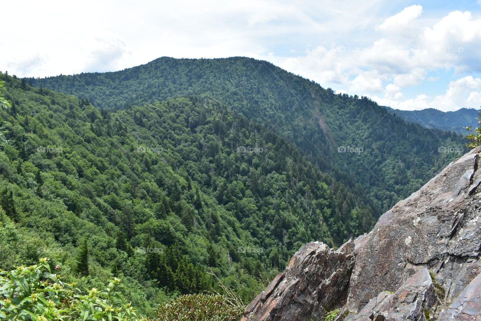 Newfound Gap