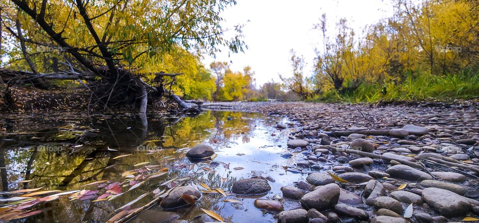And Fall is Here - After a summer of flood levels, the Boise River in Idaho is falling into a slumber, waiting for winter to arrive. It won't be long!
