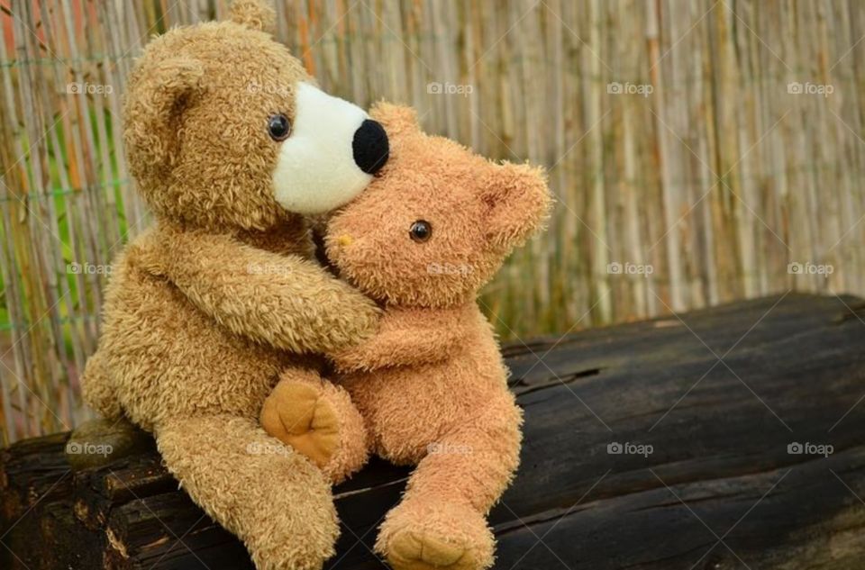 Teddy bears hugging