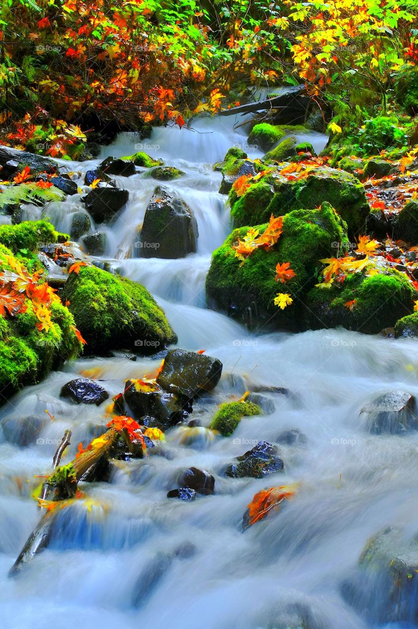 mountain river in fall
