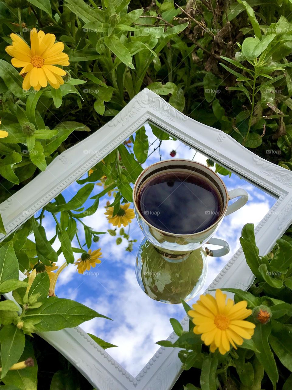 Coffee in the nature