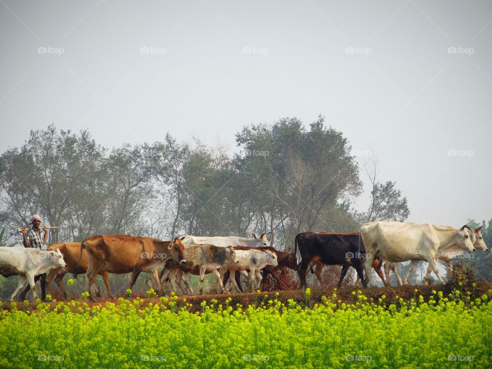 Back to home...at the day end