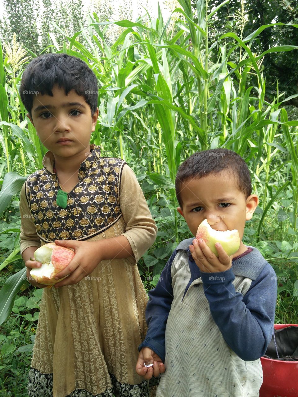 sweet little cutes 
📸 Muneeb bhat