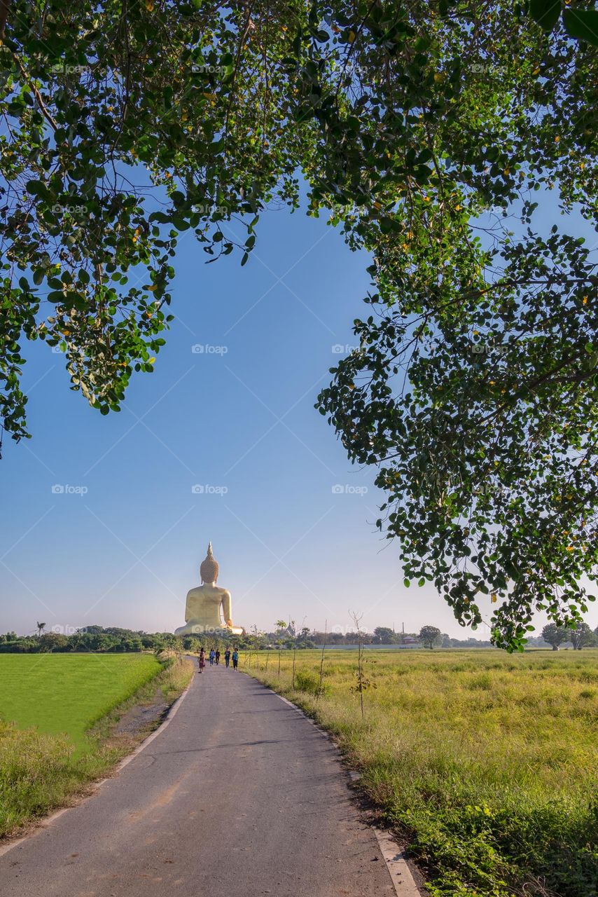 Tour in rice field