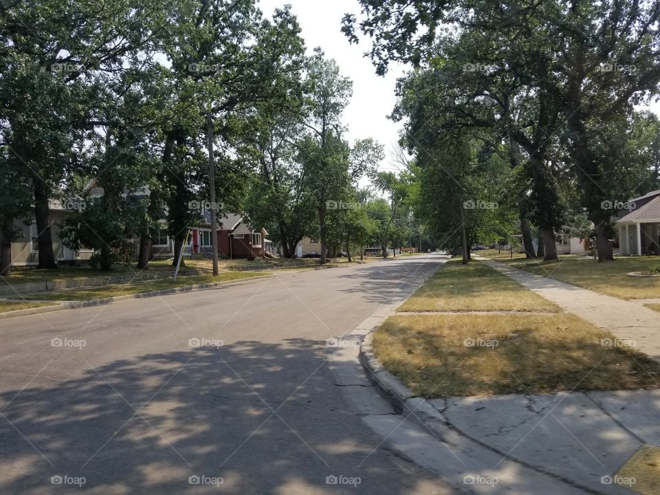 Road, Guidance, Tree, No Person, Environment