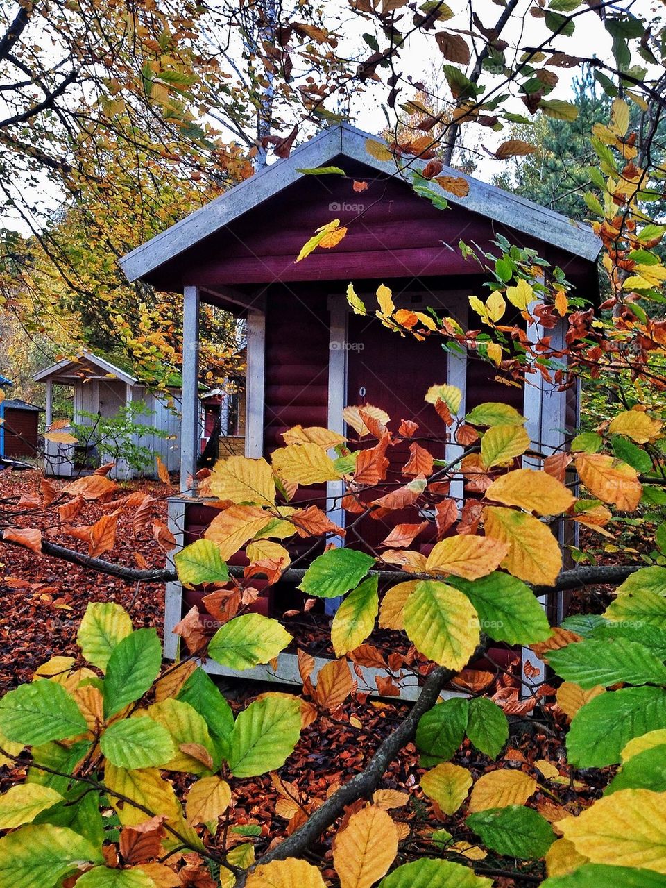 Beach hut in Autumn colours