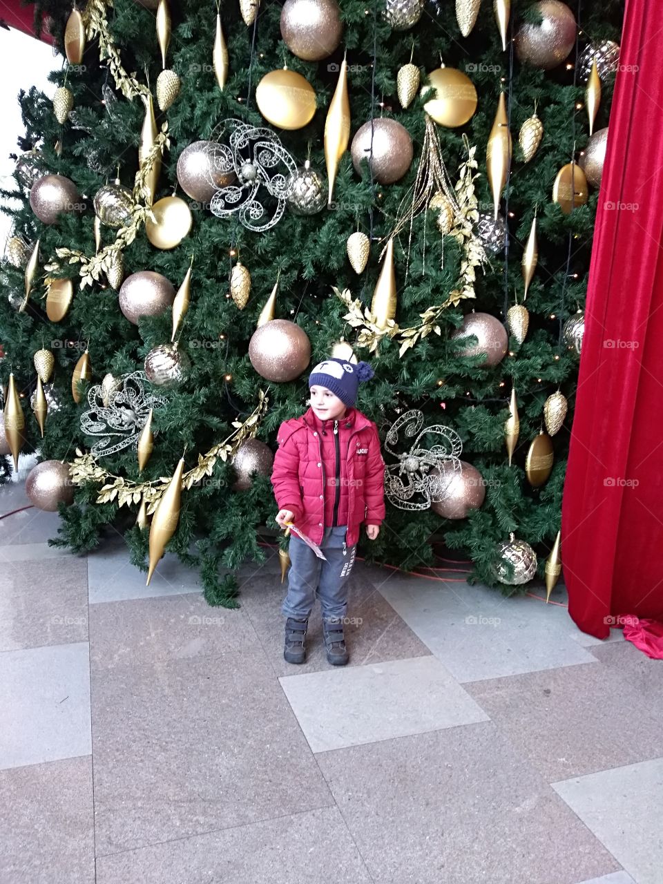 under the Christmas tree