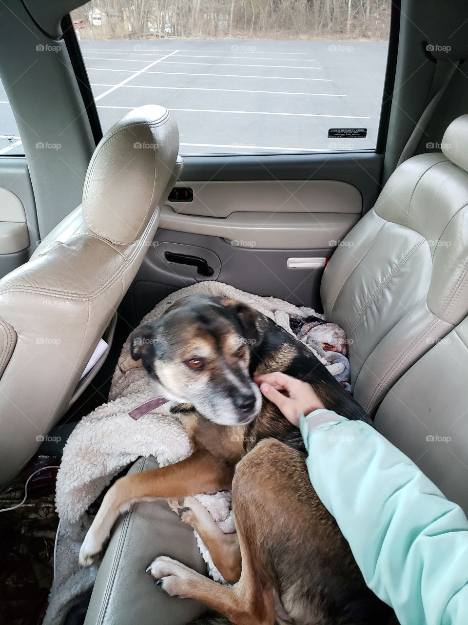 Keeping warm in the winter