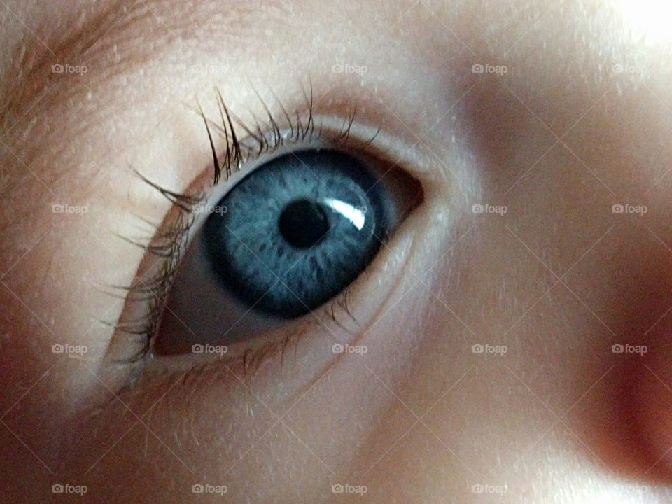 Blue eye iris