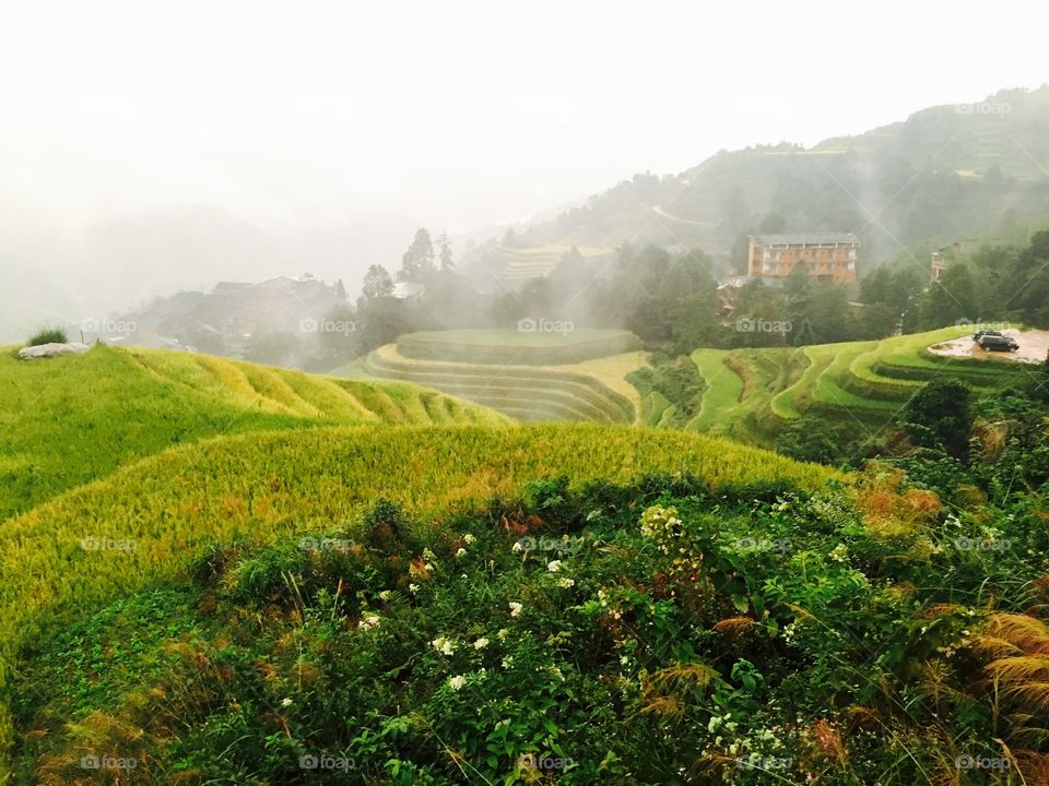 longji rice terrace