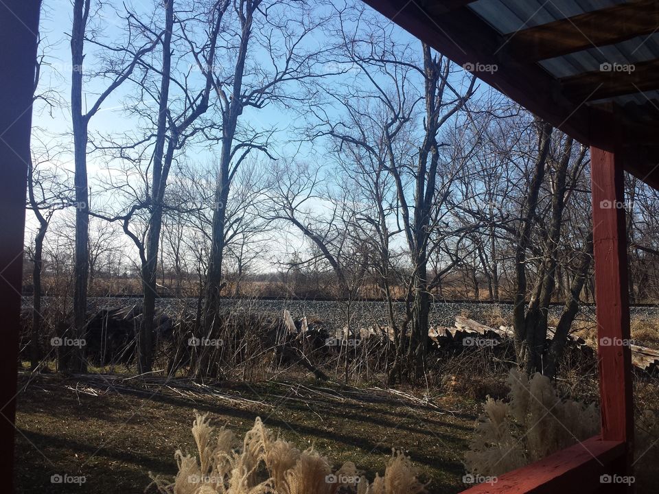 little dream house views