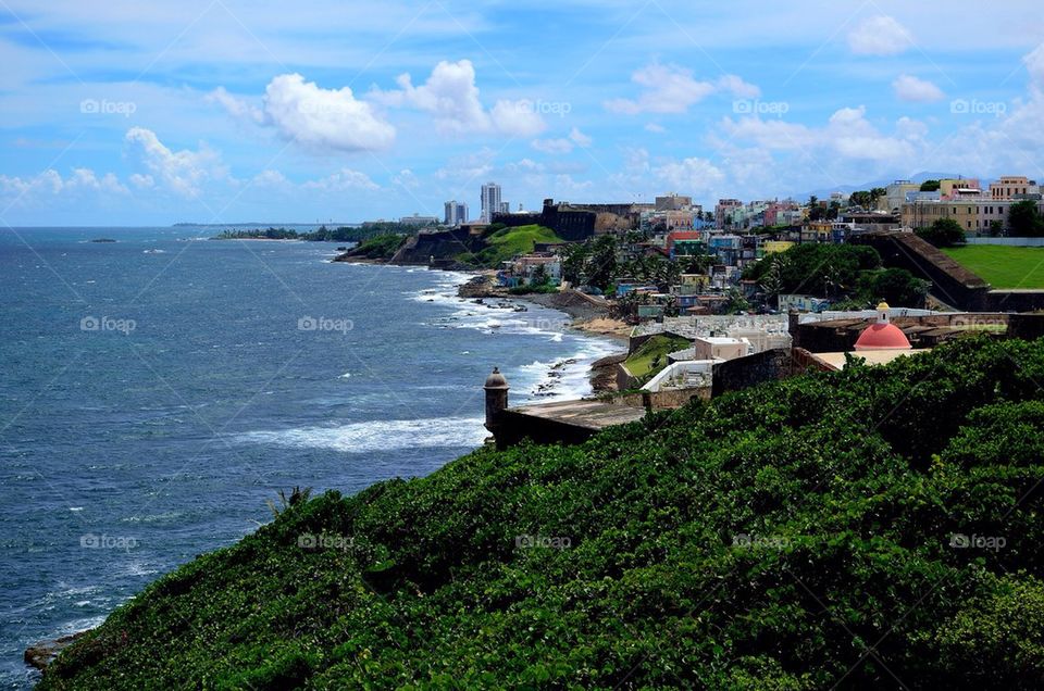 Scenic view of beach