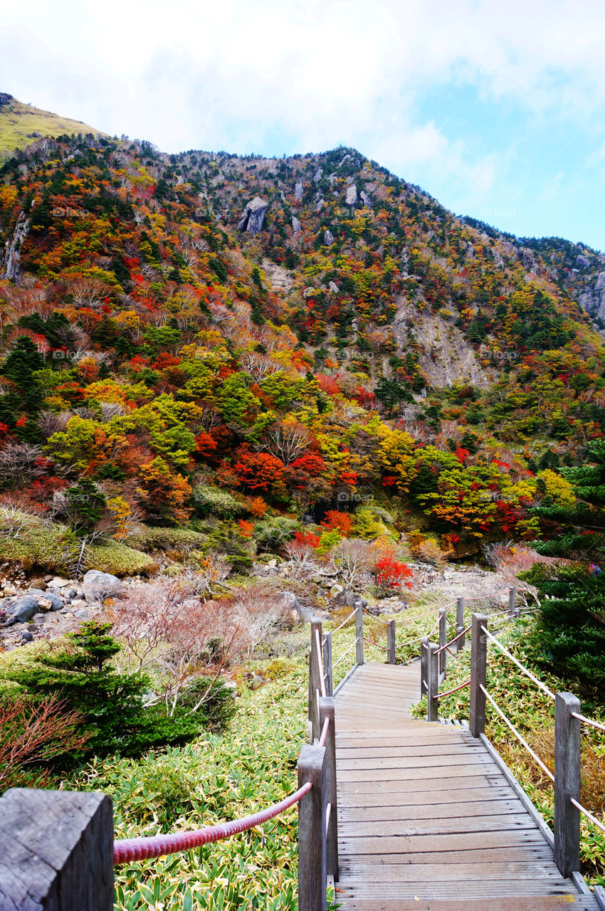 Korea. Halla mountain