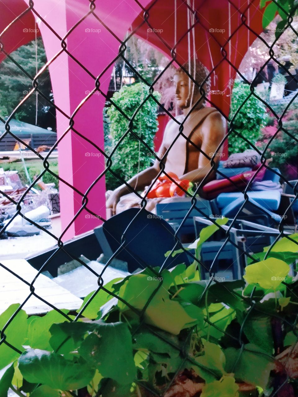 Budda behind Fence
