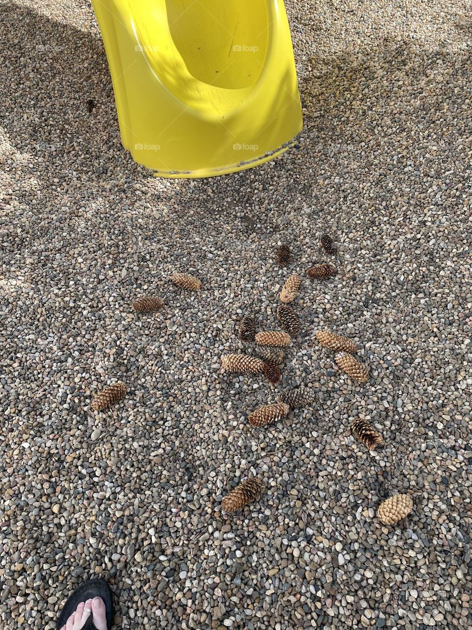 Acorn collecting while playing at the park with the yellow slide