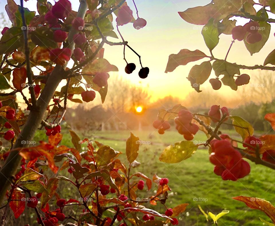 Amazing autumn sunset 🌅