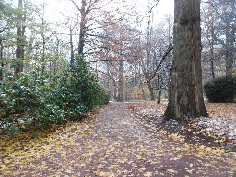 Parc de Mariemont , la Louvière