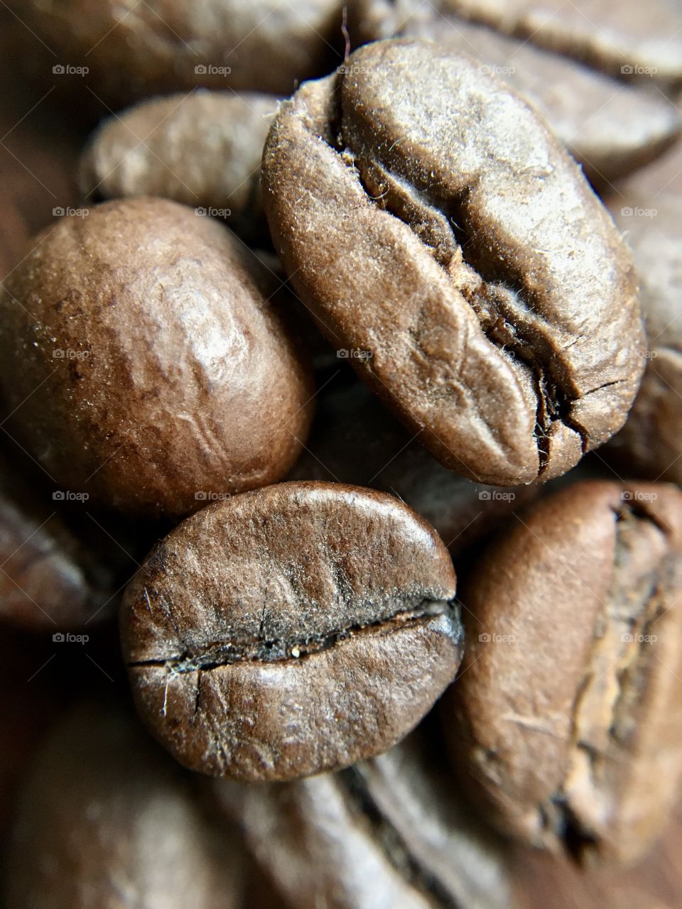 Coffee beans, macro