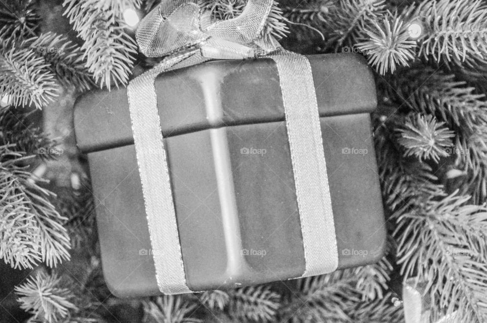 Christmas Present In A Tree In Black And White