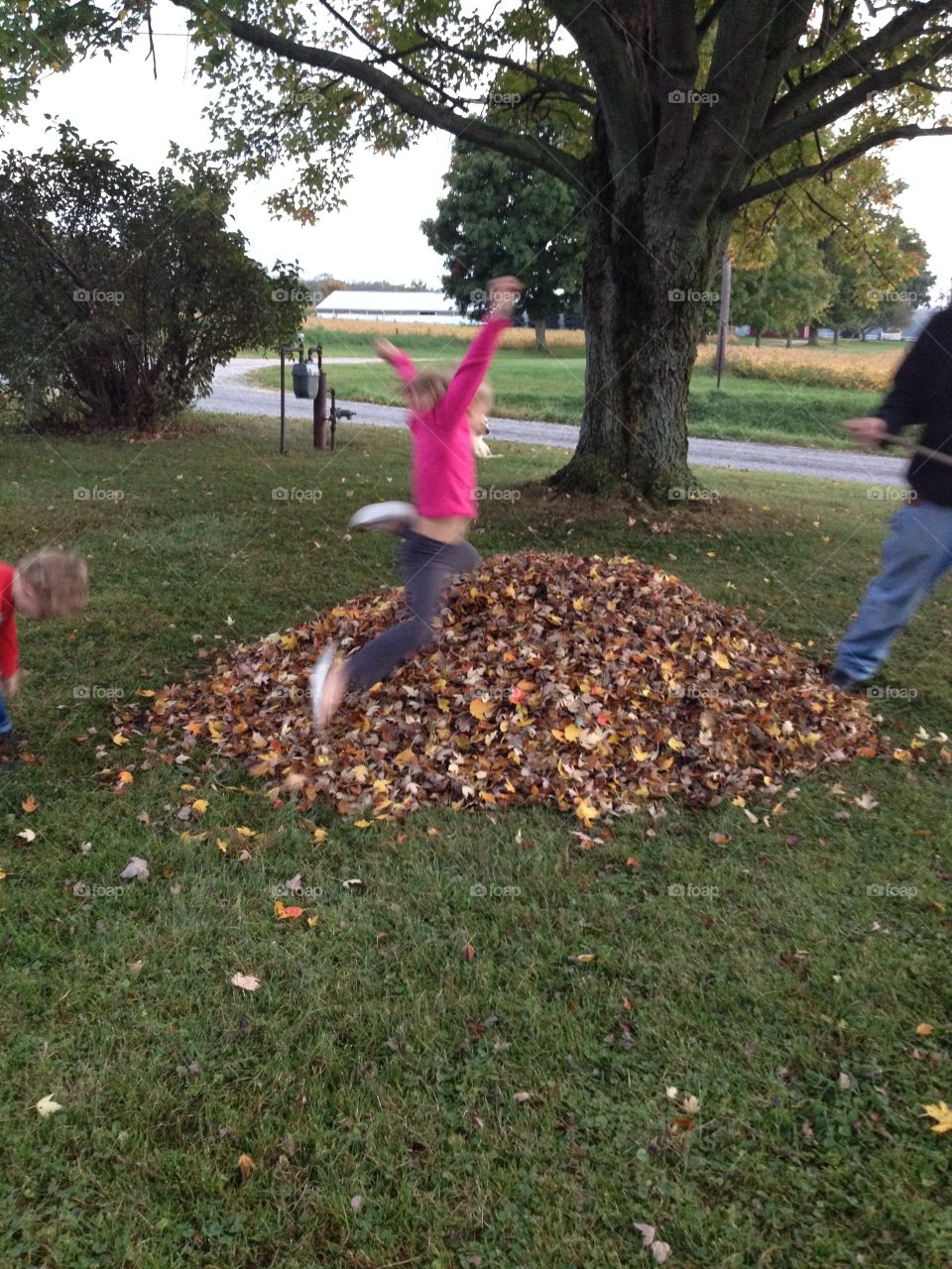 Flying into the leaves. This child couldn't have been more excited to jump into this pile of leaves!