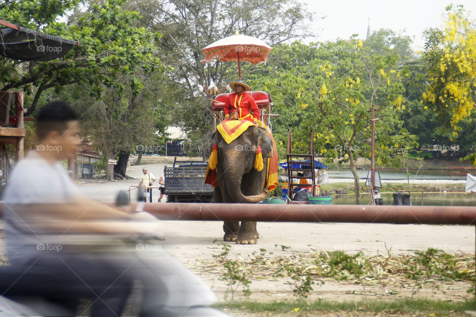 Travel Thailand 