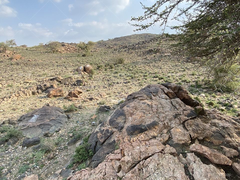 Amazing photo for desert 🌵