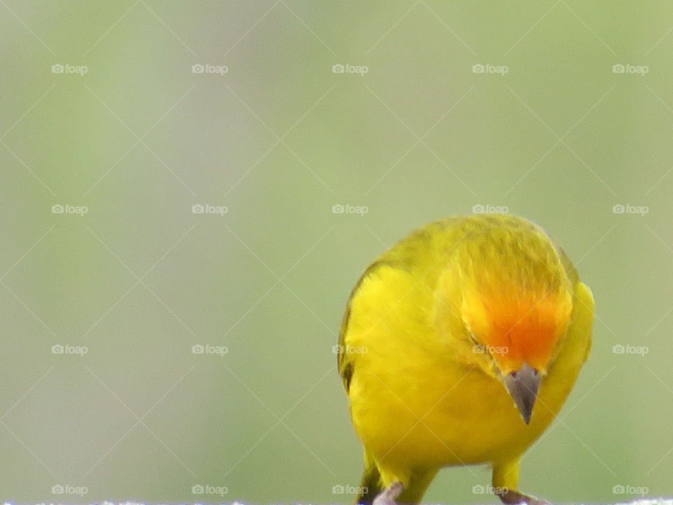 momento de oração!