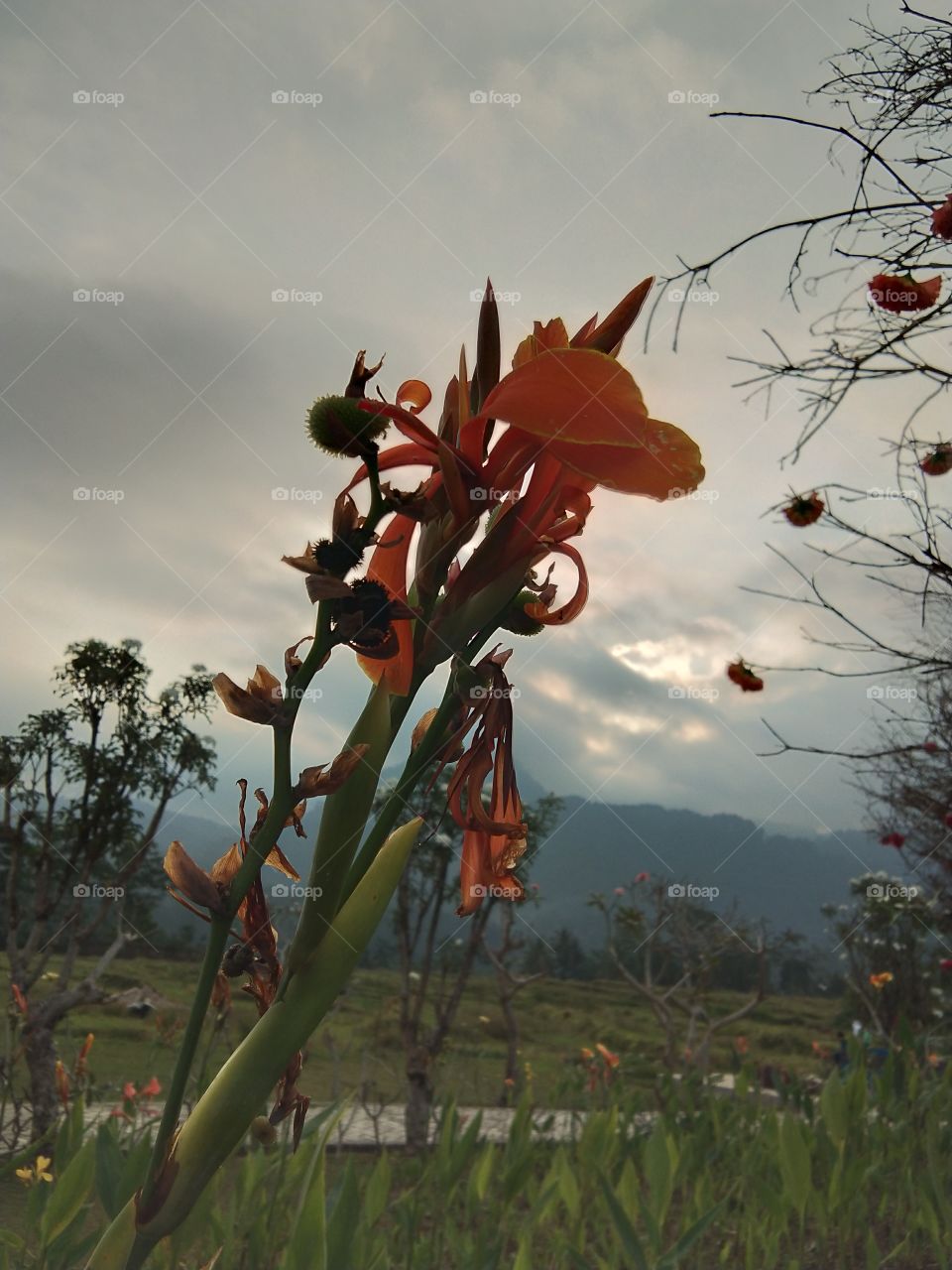 menikmati suasana sore hari