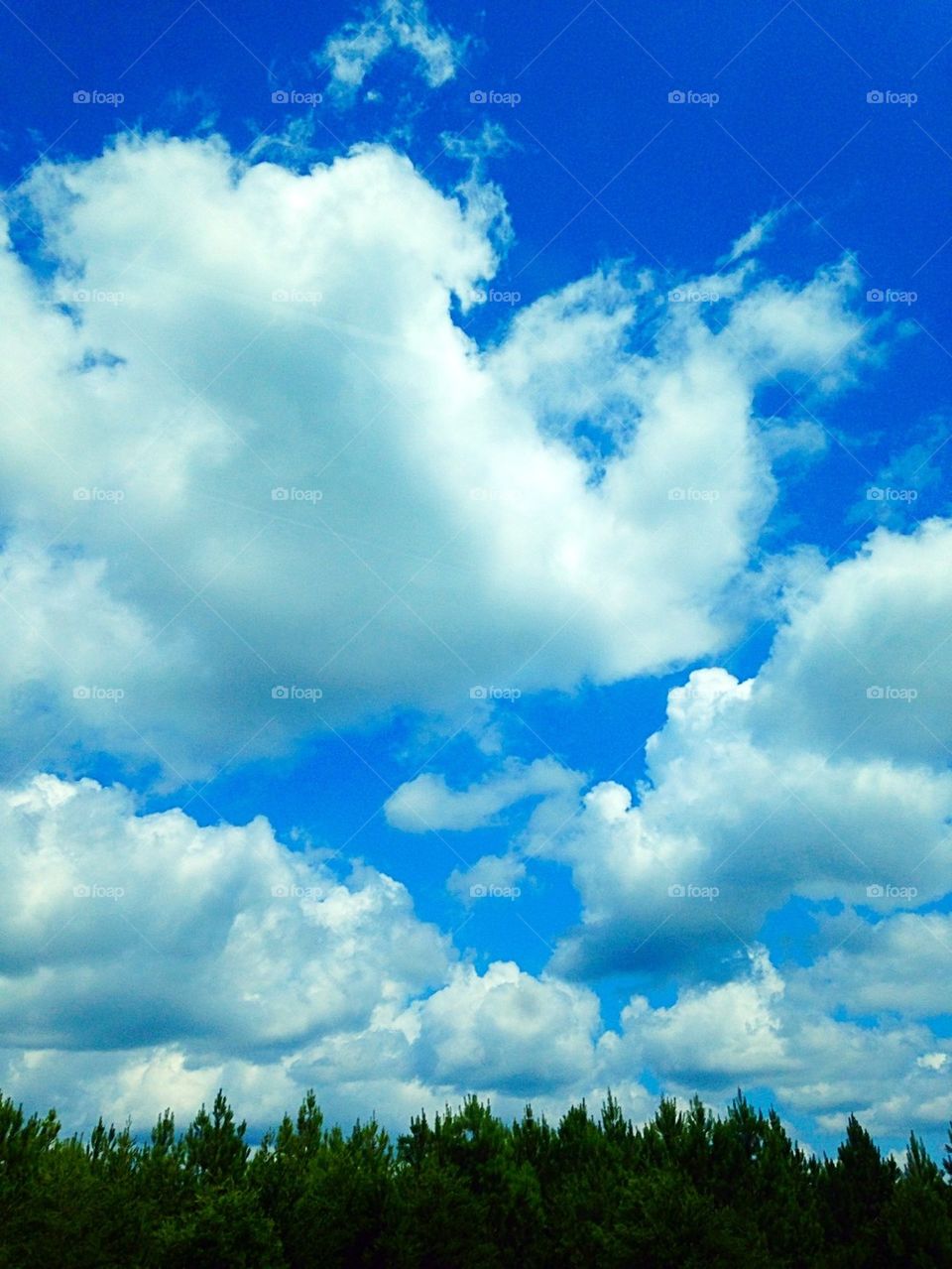 Blue sky 