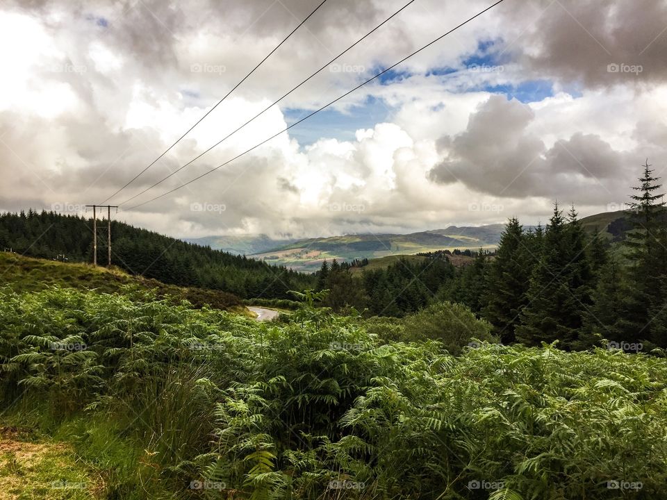 Beautiful Countryside 