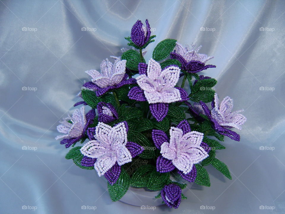 Purple pearl flowers