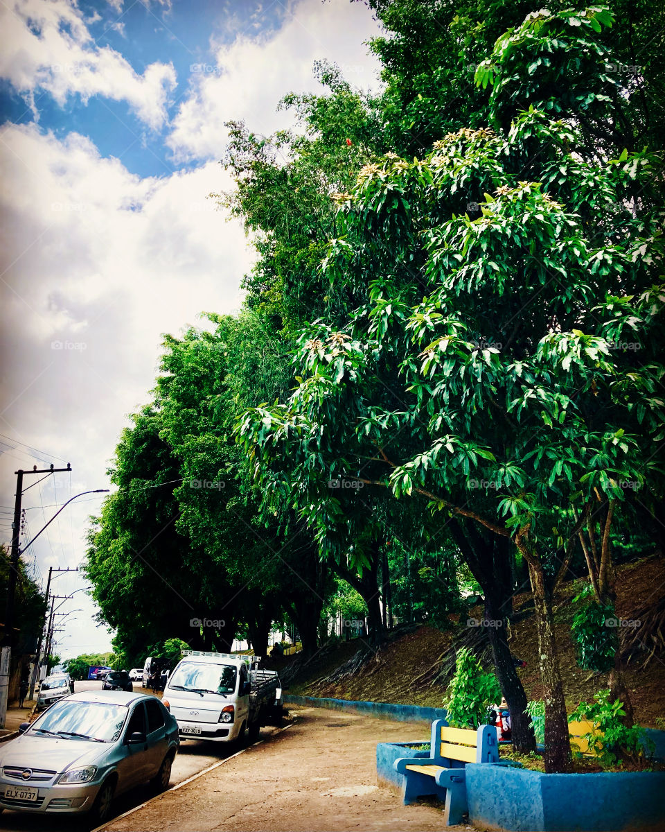 Bucolic afternoon in Bragança Paulista, countryside of Brazil.  The square is empty and the weather is hot!  Will rain? / Tarde bucólica em Bragança Paulista, interior do Brasil. A praça está vazia e o clima quente! Vai chover?