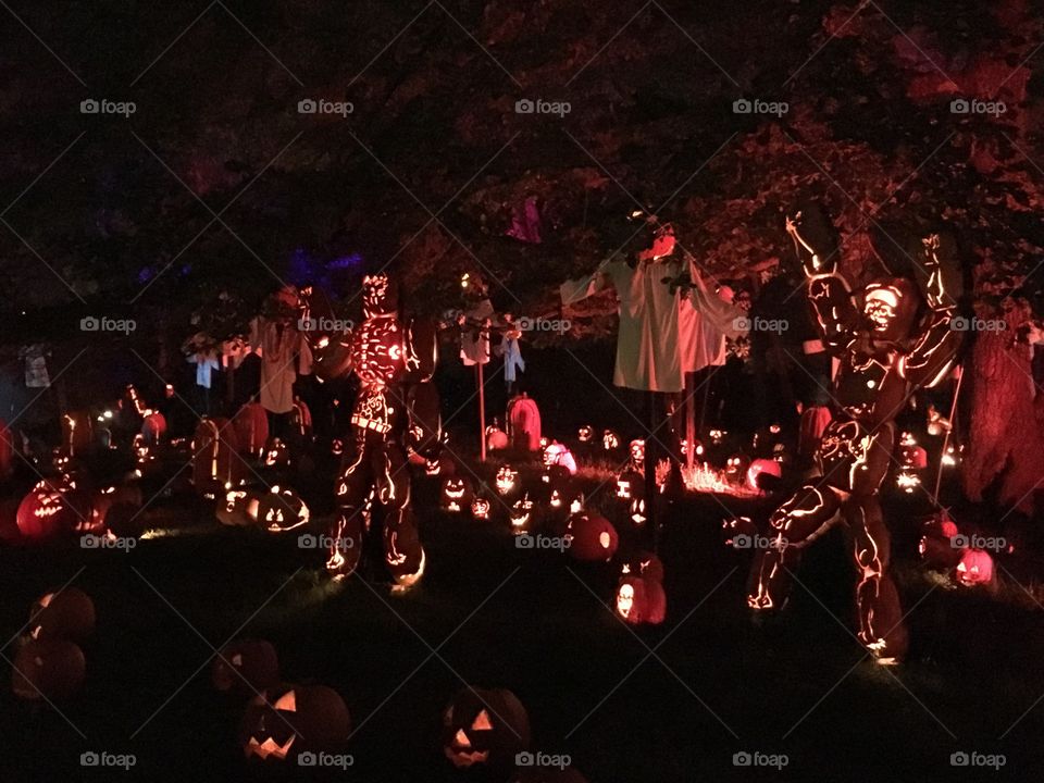 The Great Jack O’Lantern Blaze