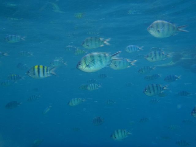 Underwater 