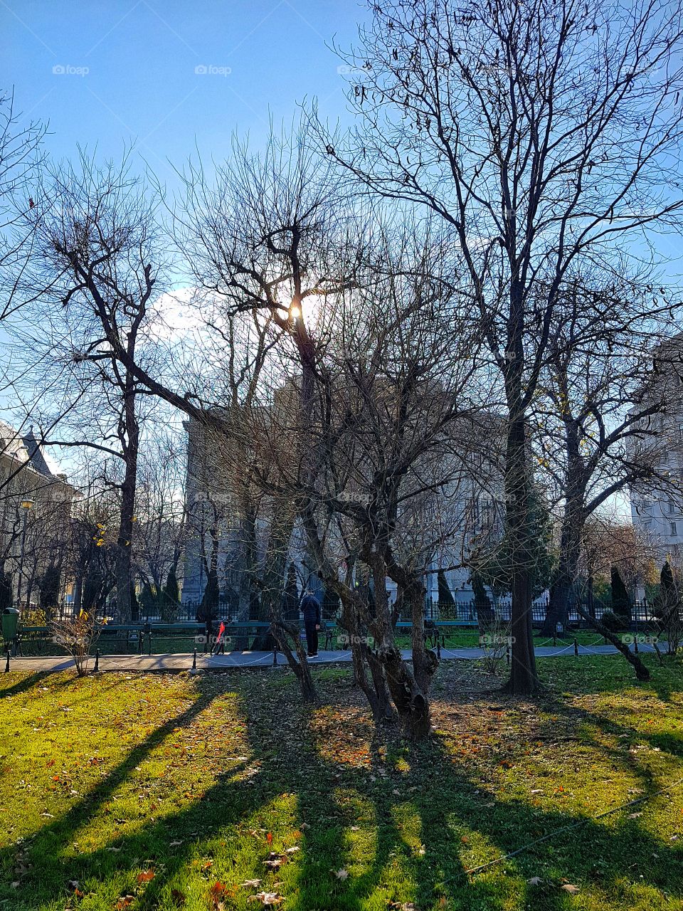 Cismigiu Park in Bucharest