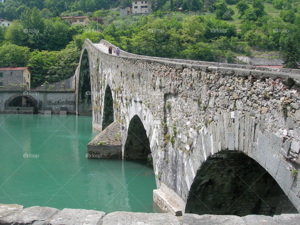 The bridge 