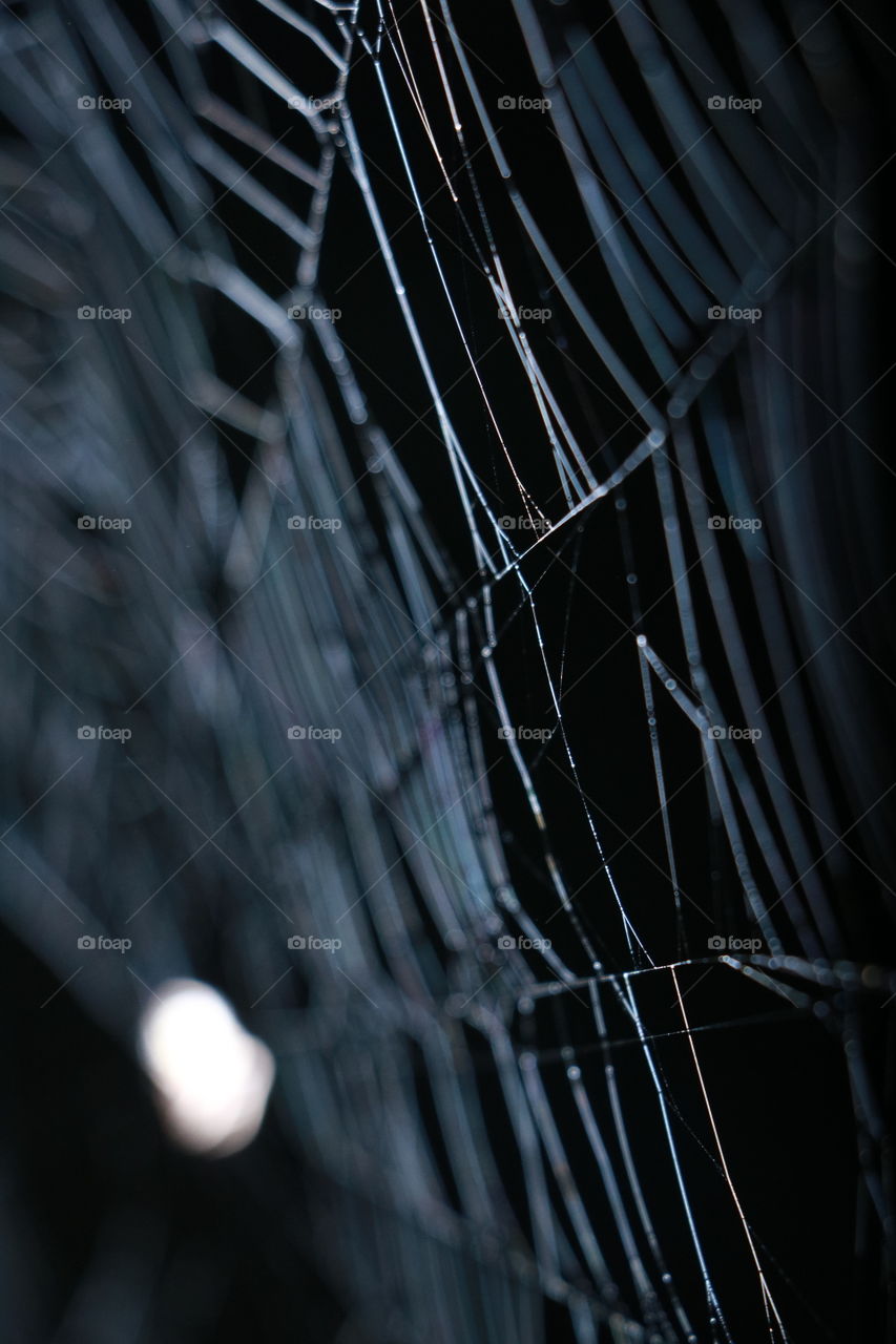 Spider web 
very   critical designs