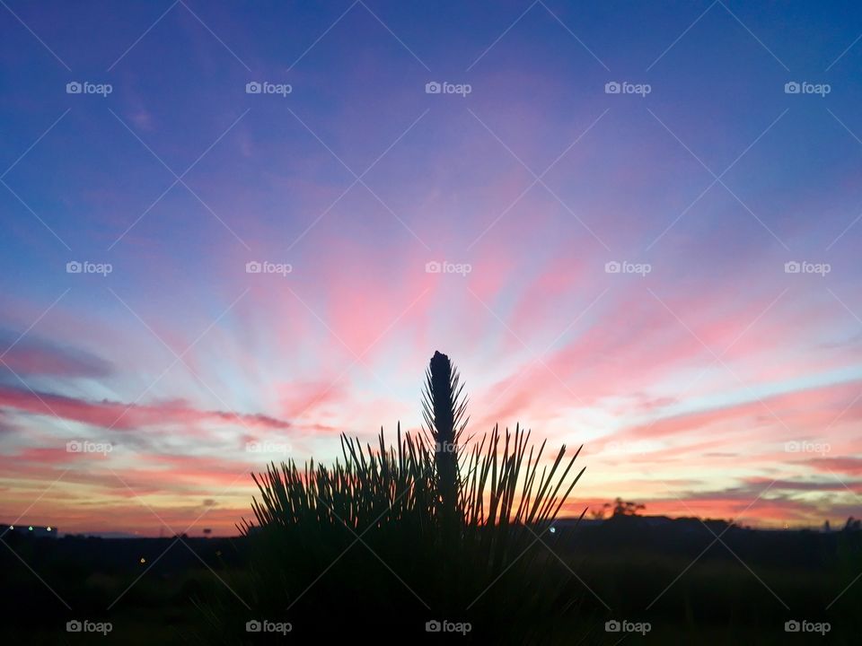 🌅Desperte, #Jundiaí. 
Que a jornada diária possa valer a pena!
🍃
#sol #sun #sky #céu #photo #nature #morning #alvorada #natureza #horizonte #fotografia #pictureoftheday #paisagem #inspiração #amanhecer #mobgraphy #mobgrafia #AmoJundiaí