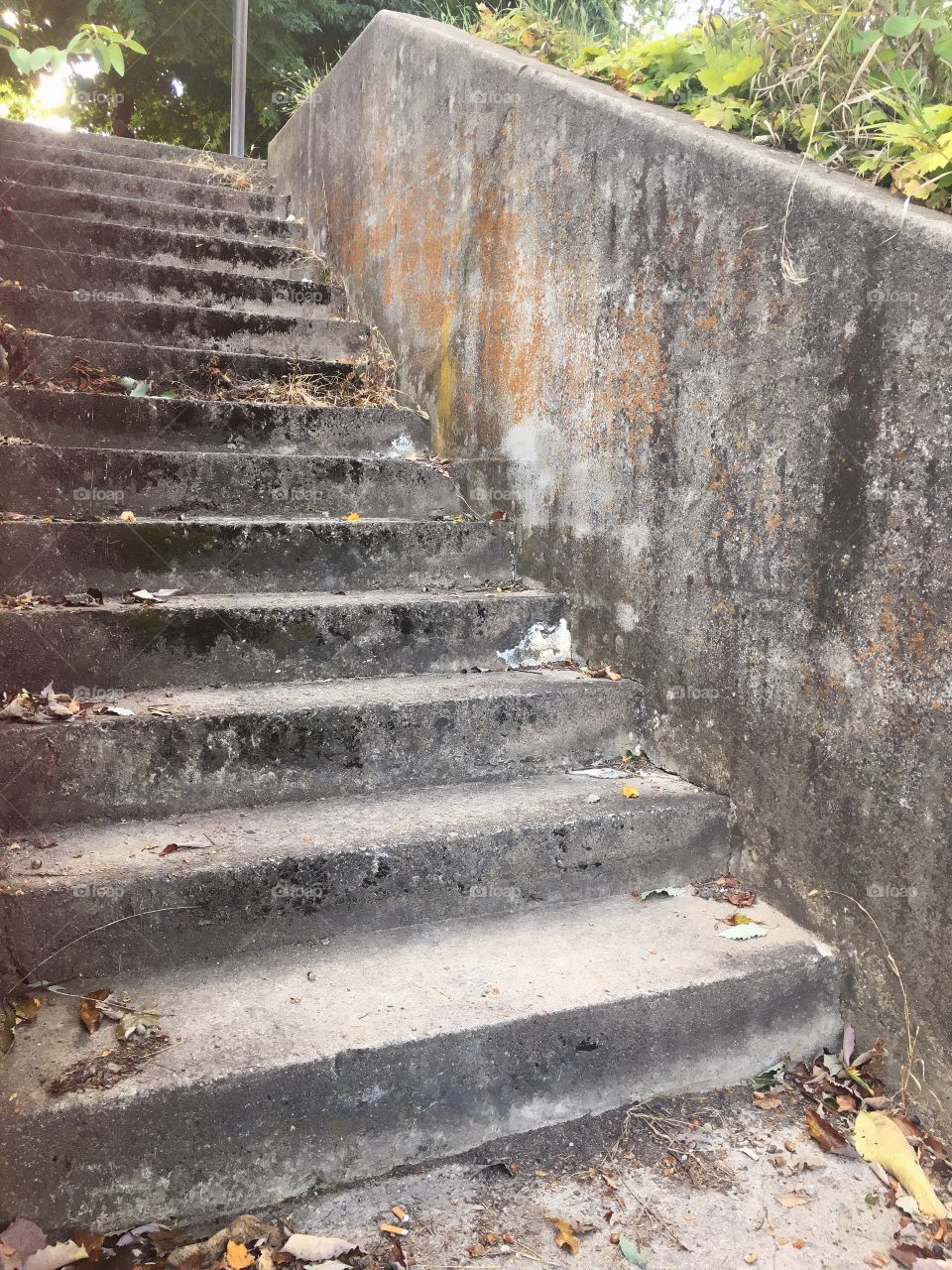 Aged Concrete Staircase in the Park