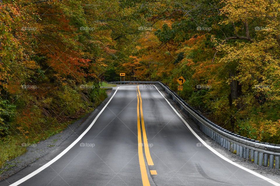 Driving into Autumn