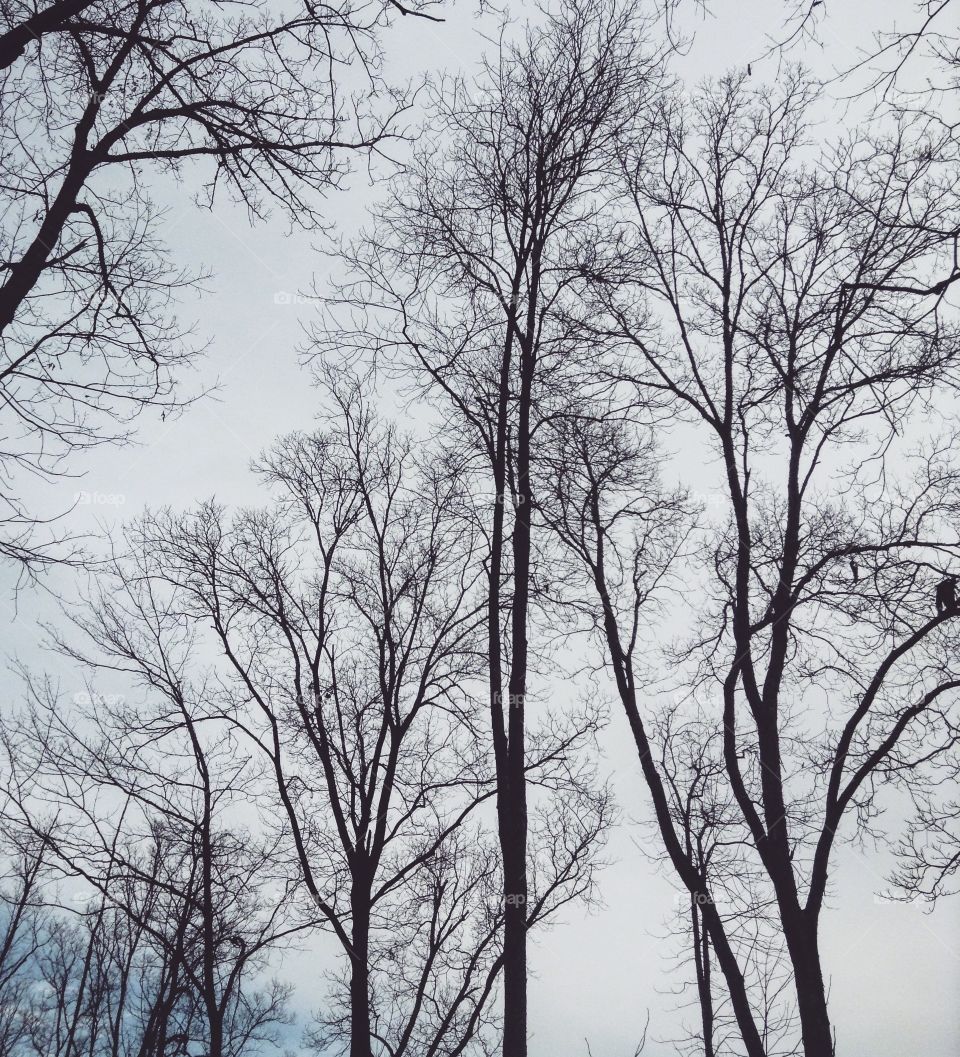 Winter days ❄️