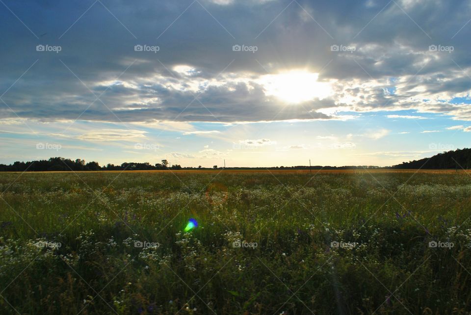 nature Ukraine