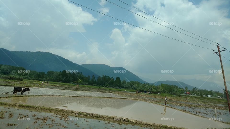 Landscape, Water, Nature, Travel, Sky