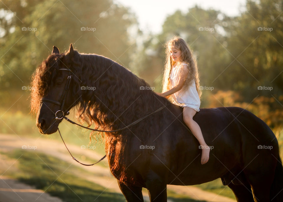 Little girl with black fresian stallion at summer evening 