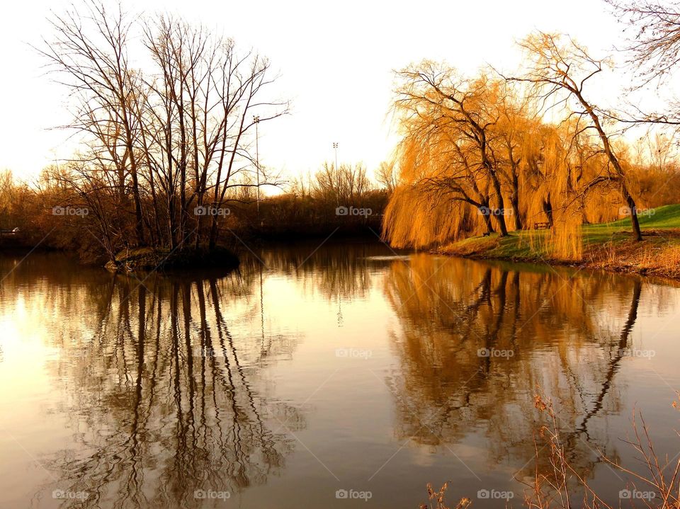 gorgeous reflection