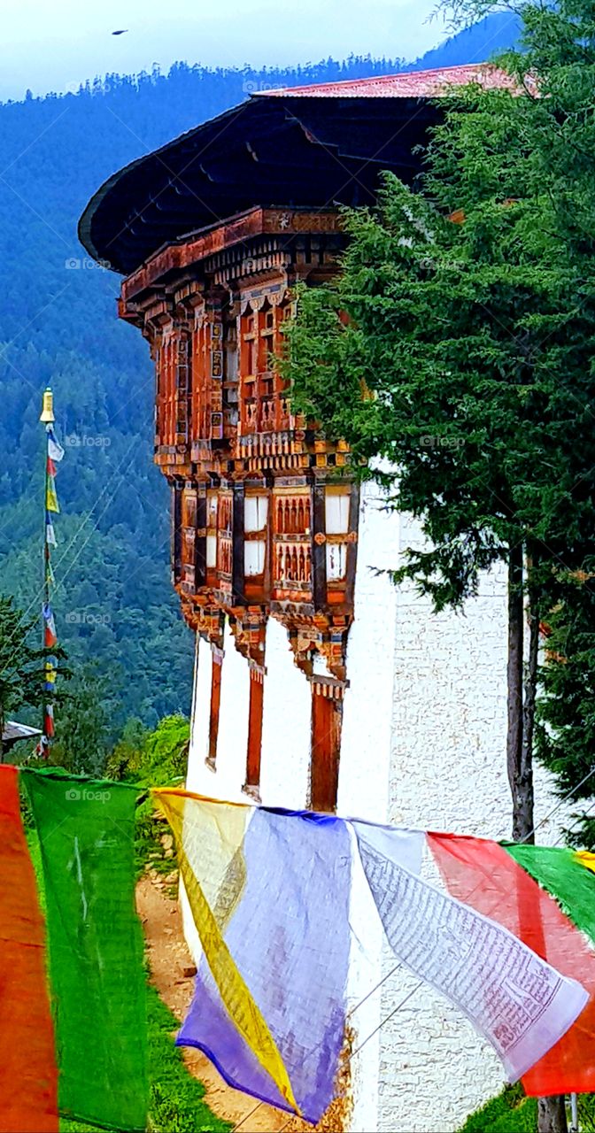 Traditional Bhutanese Architects. Unlike modern buildings that use iron, cement and glasses, Wood and muds are the main raw material in traditional Bhutanese buildings. To see this beauty visit Bhutan.