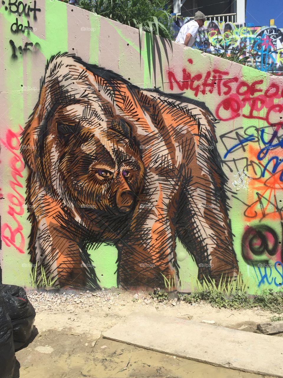 The Grizzly - Austin, TX