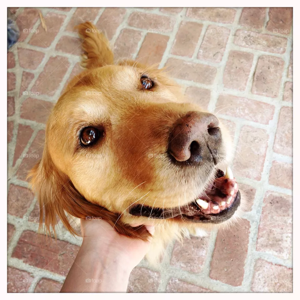 Smile