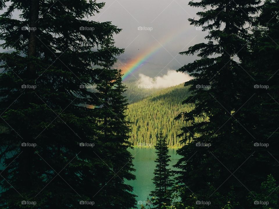 A glimpse of a rainbow at Emerald Lake Lodge, Field, BC 