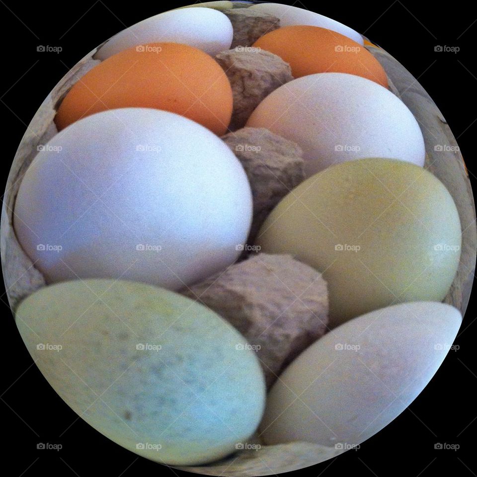 Natural eggs
